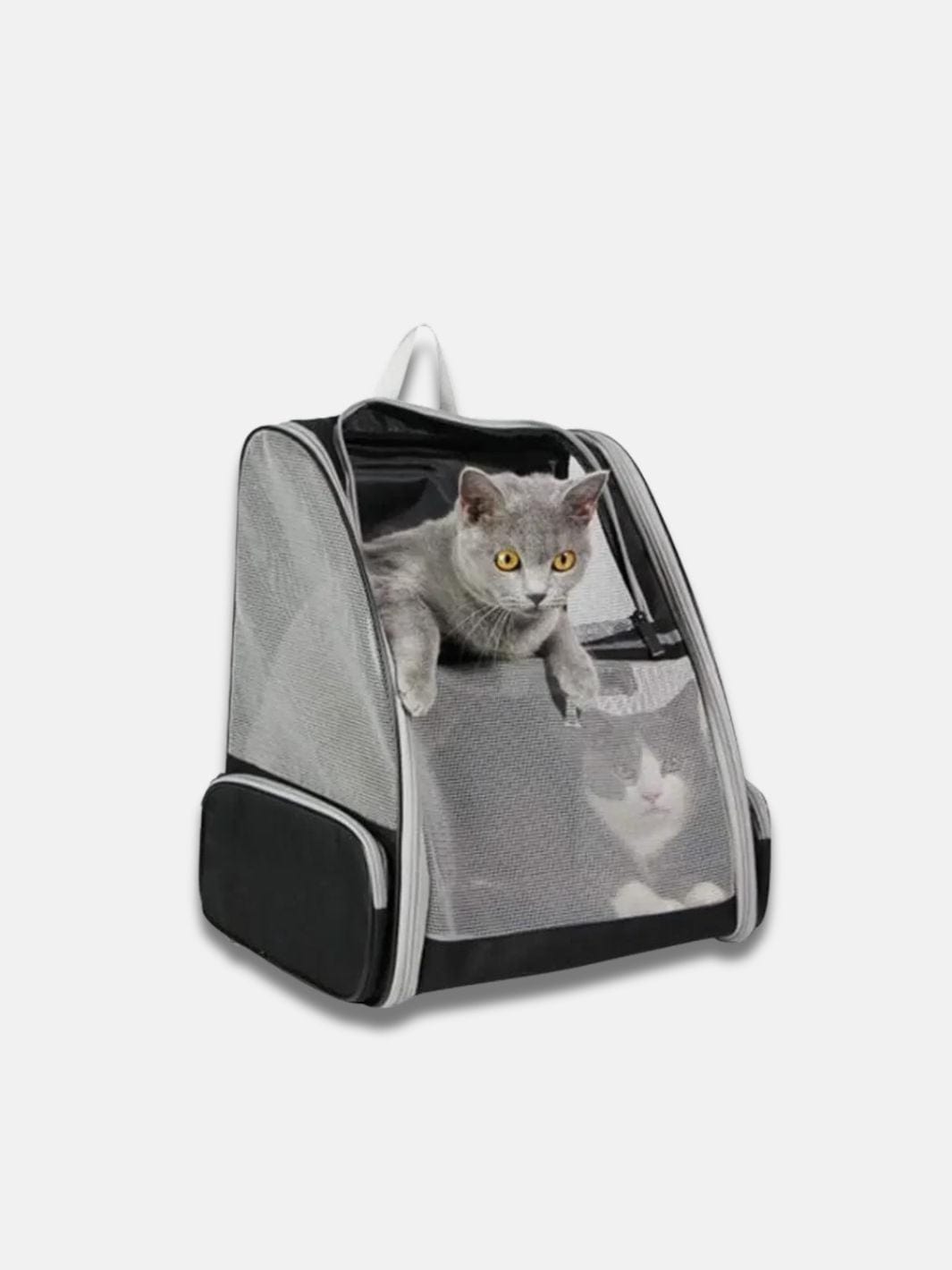 Sac pour transporter chat  | OdinLite.com