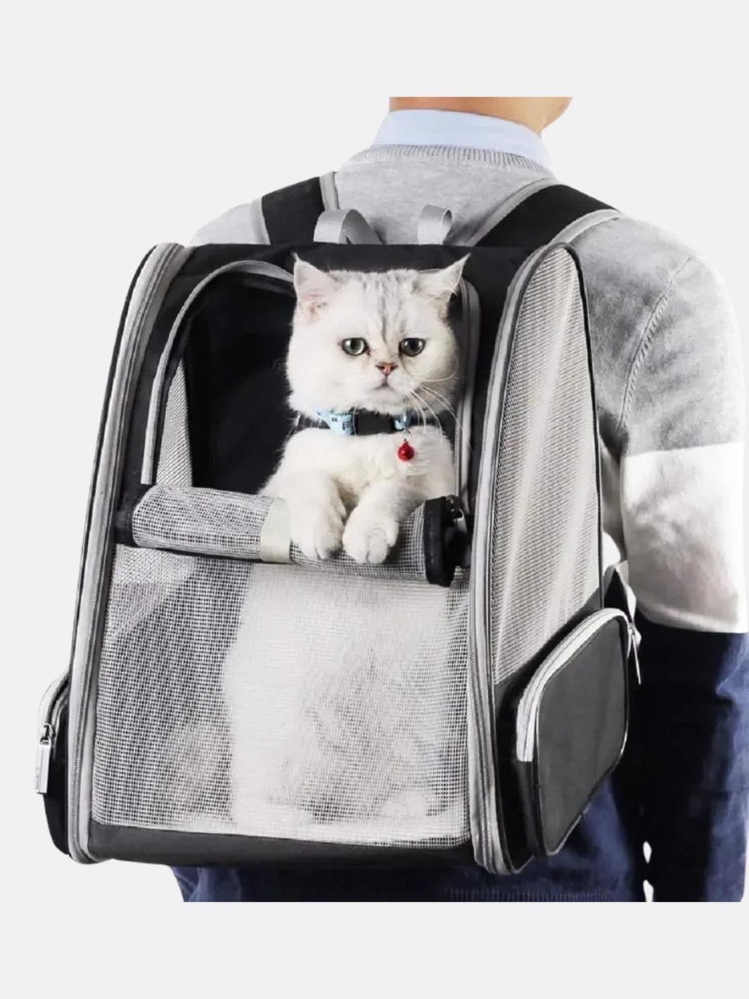 Sac pour transporter chat  | OdinLite.com